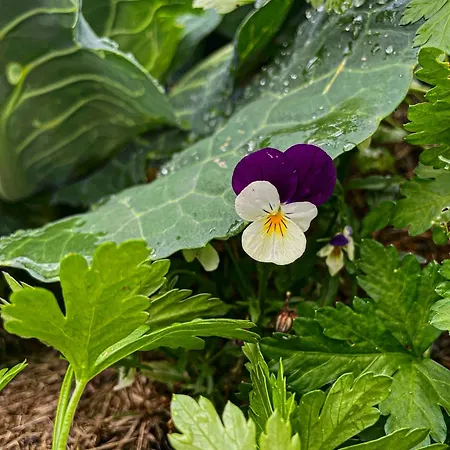 Hostel Tungestolen Veitastrond