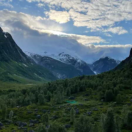 Tungestolen